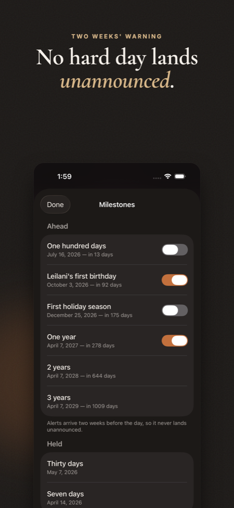 Ember screenshot